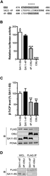 FIG 6