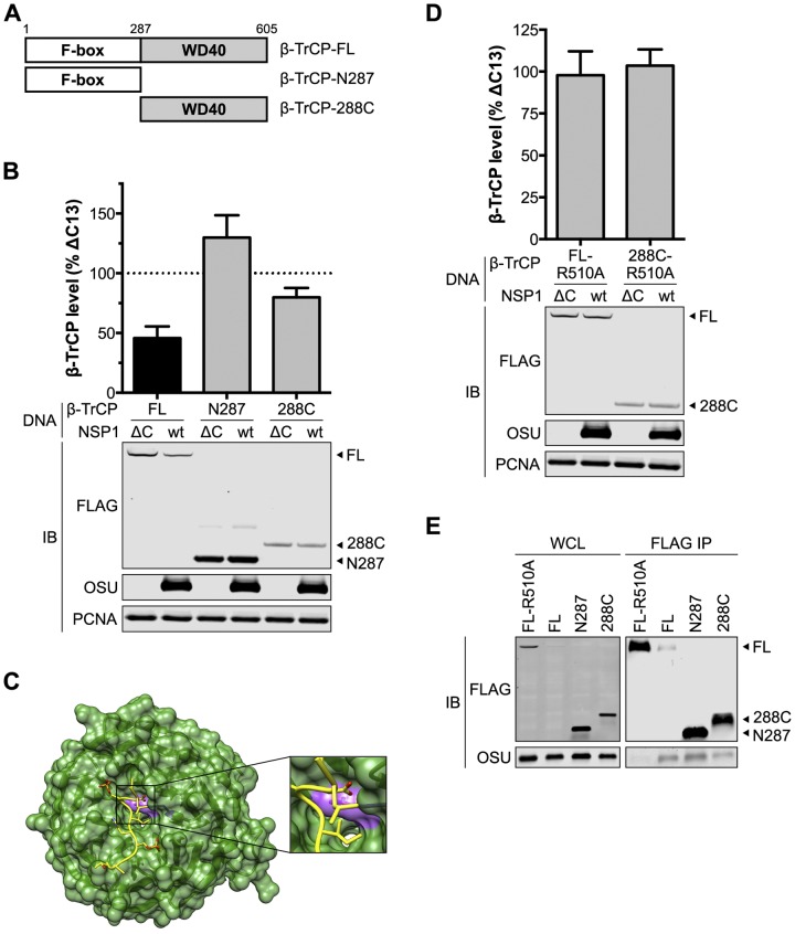 FIG 5 