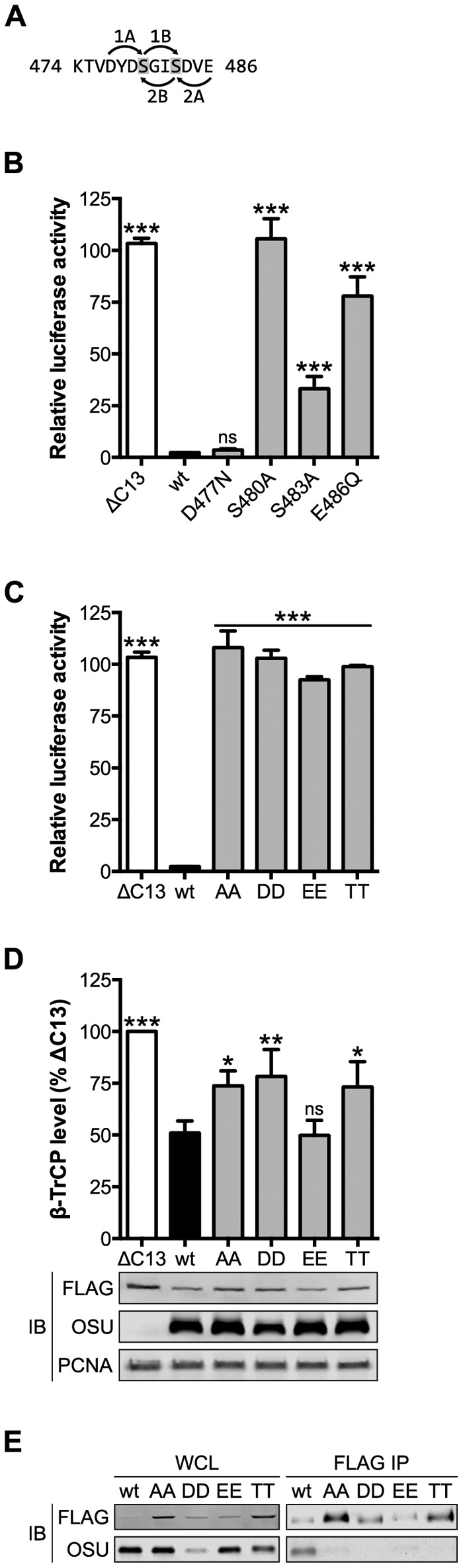 FIG 4 