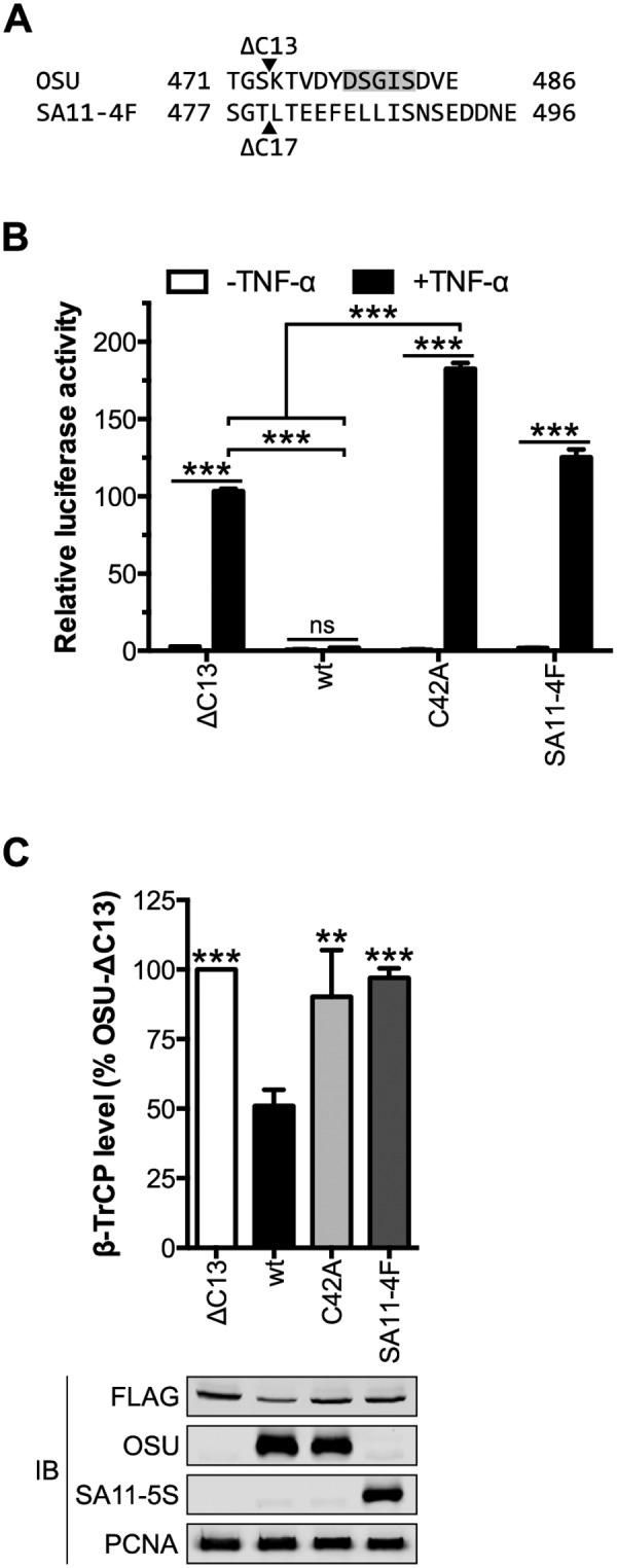 FIG 2 