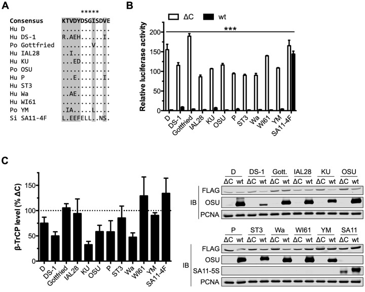 FIG 3 