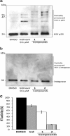 FIG 7