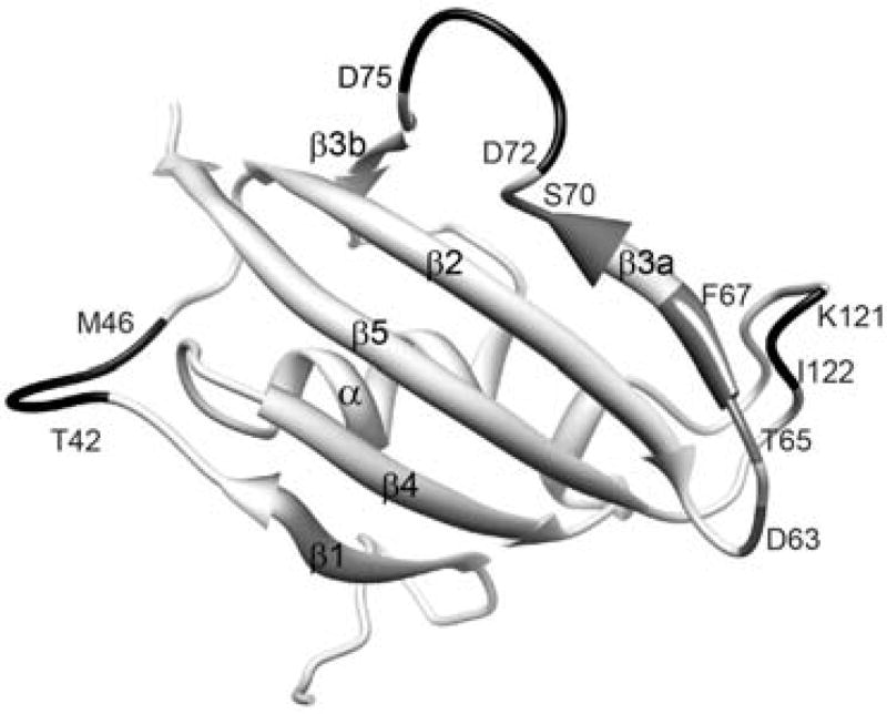 Fig. 14