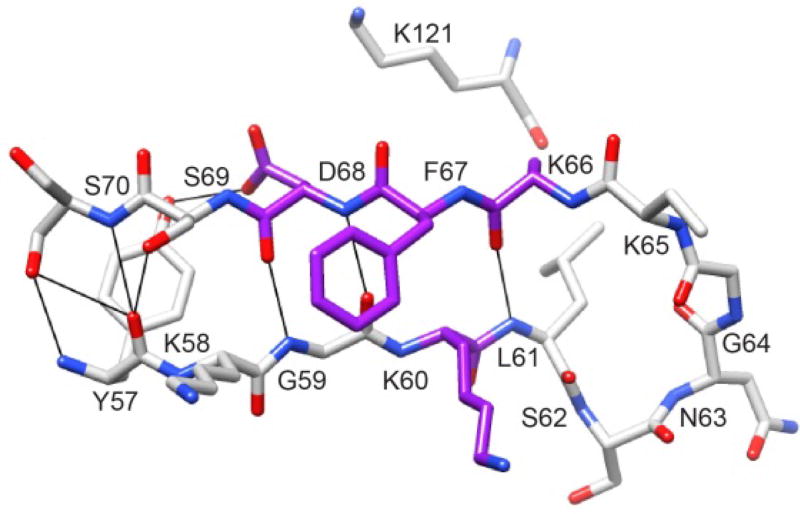 Fig. 12