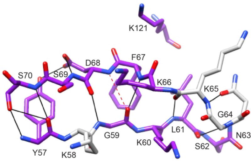 Fig. 11