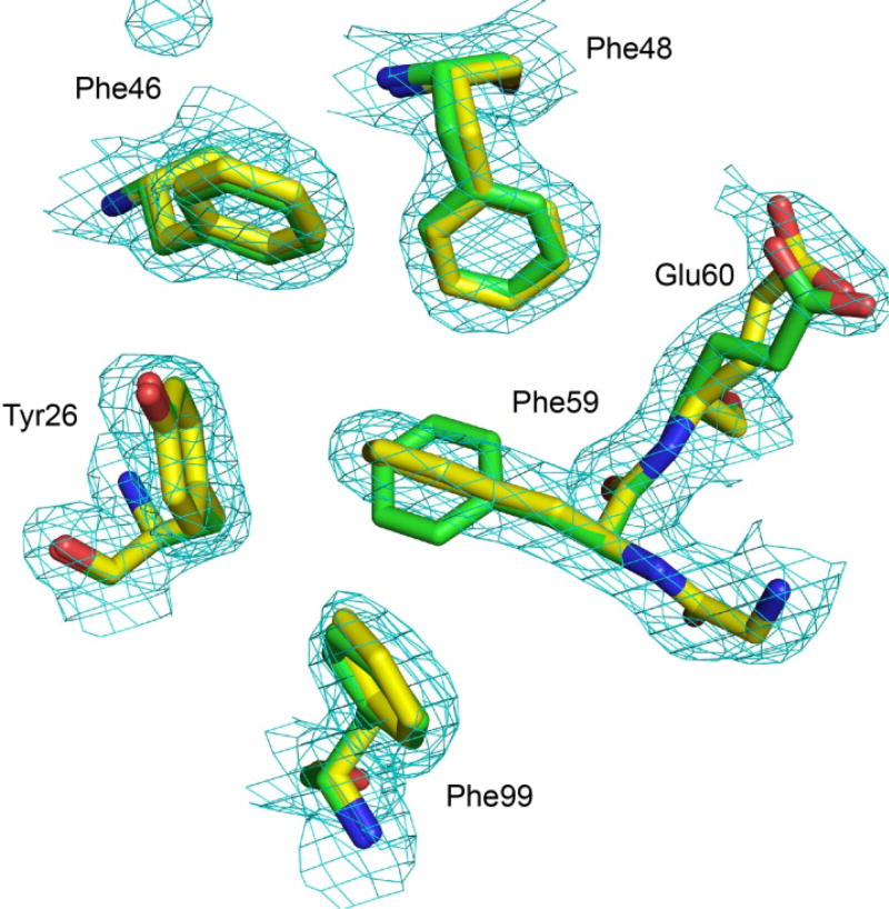 Fig. 15