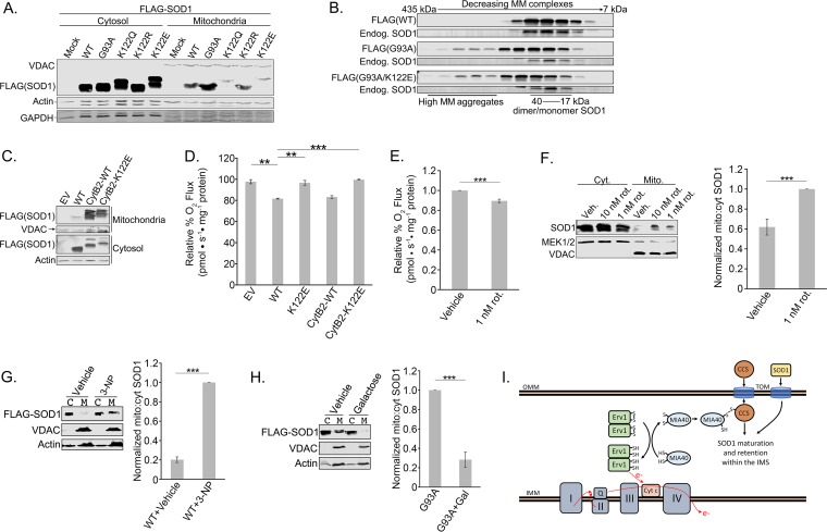 FIG 6