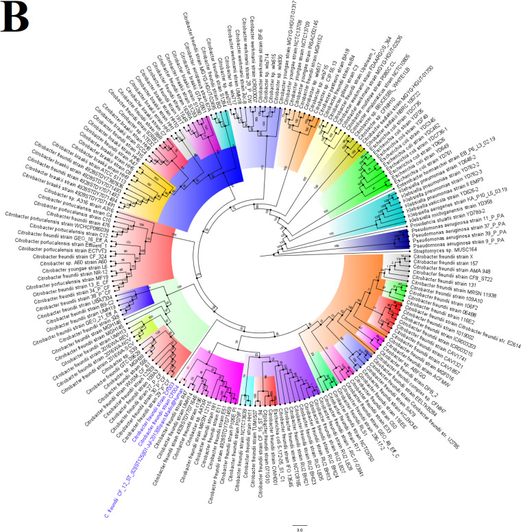 FIG 3