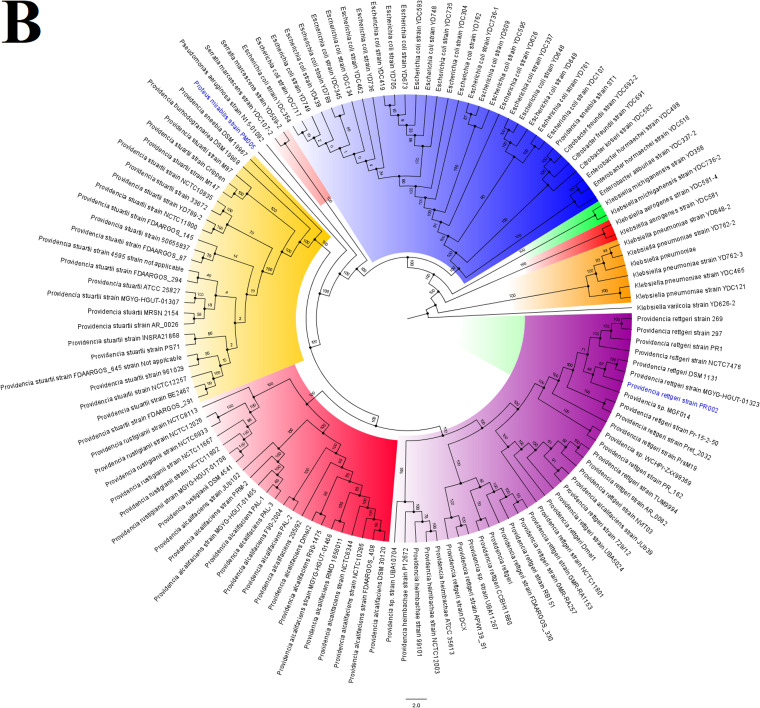 FIG 6