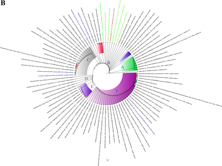 FIG 2