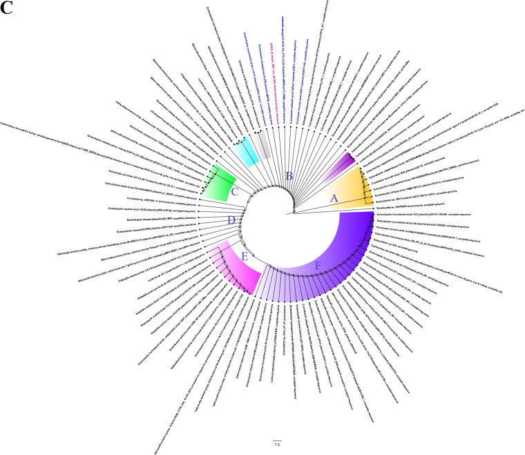 FIG 2