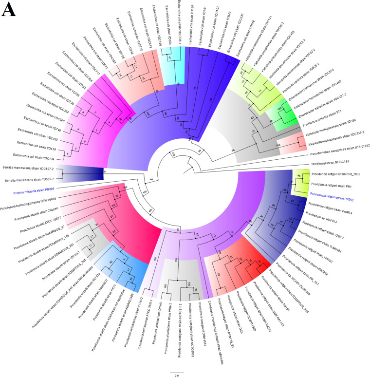 FIG 6