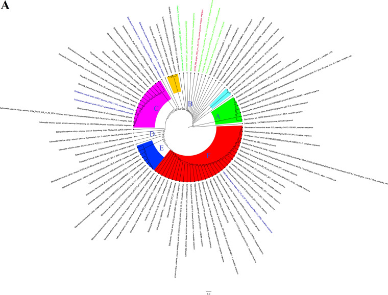 FIG 2