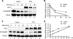 FIG 2