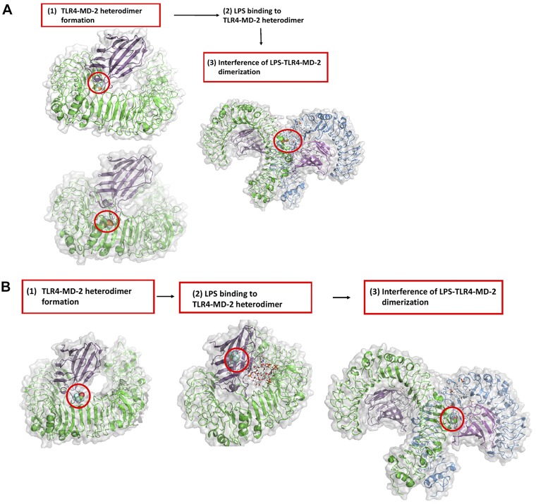 Figure 6