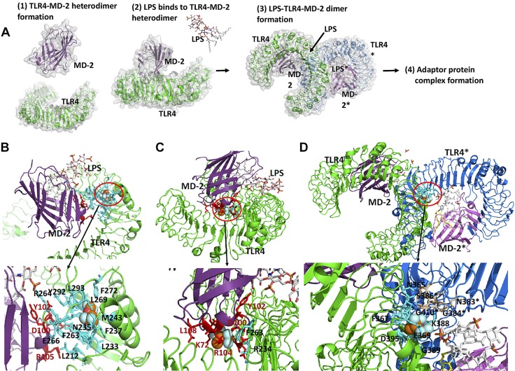 Figure 4