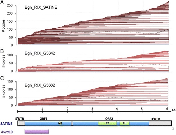 Fig. 2