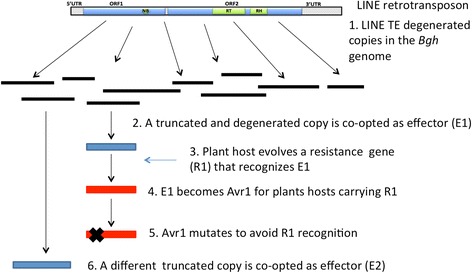 Fig. 6