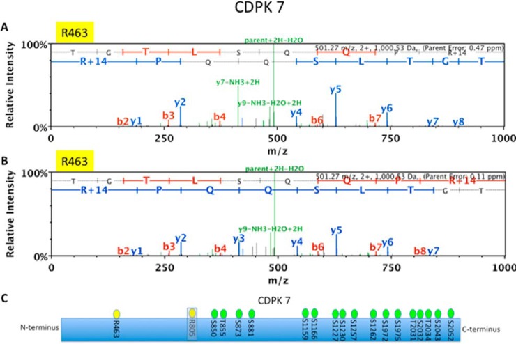 Fig. 7.