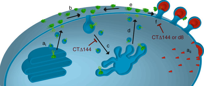 Fig. 7