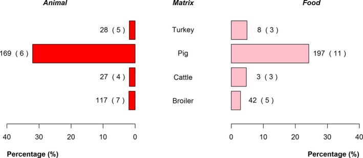 Figure 20