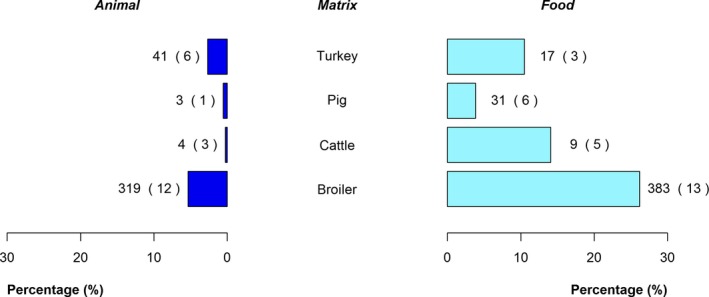 Figure 18