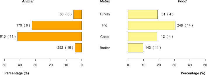 Figure 19