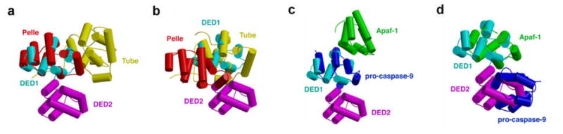 Figure 7