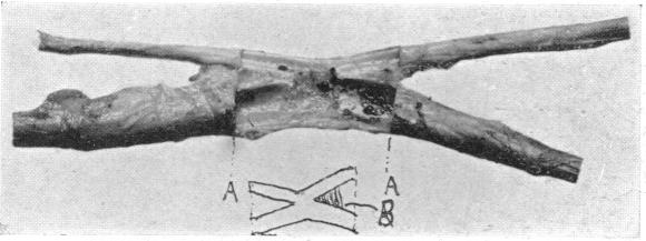 FIG. 5.