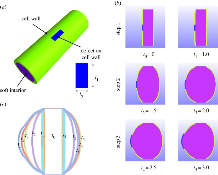 Figure 7.