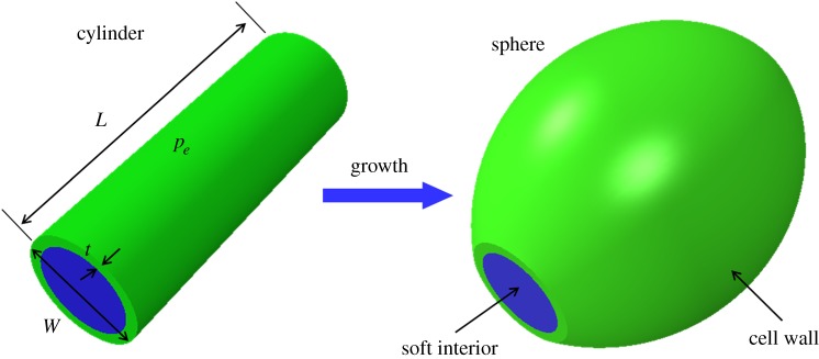 Figure 3.