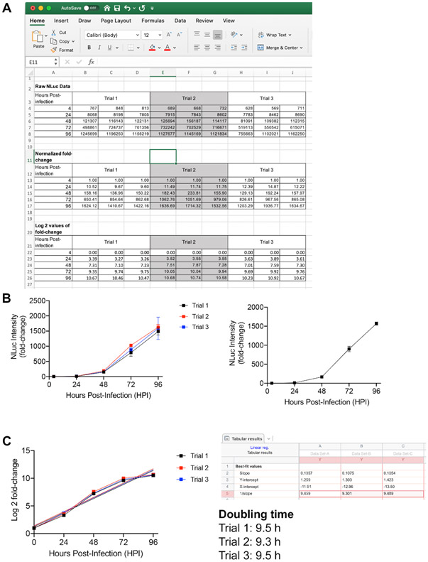 Figure 1: