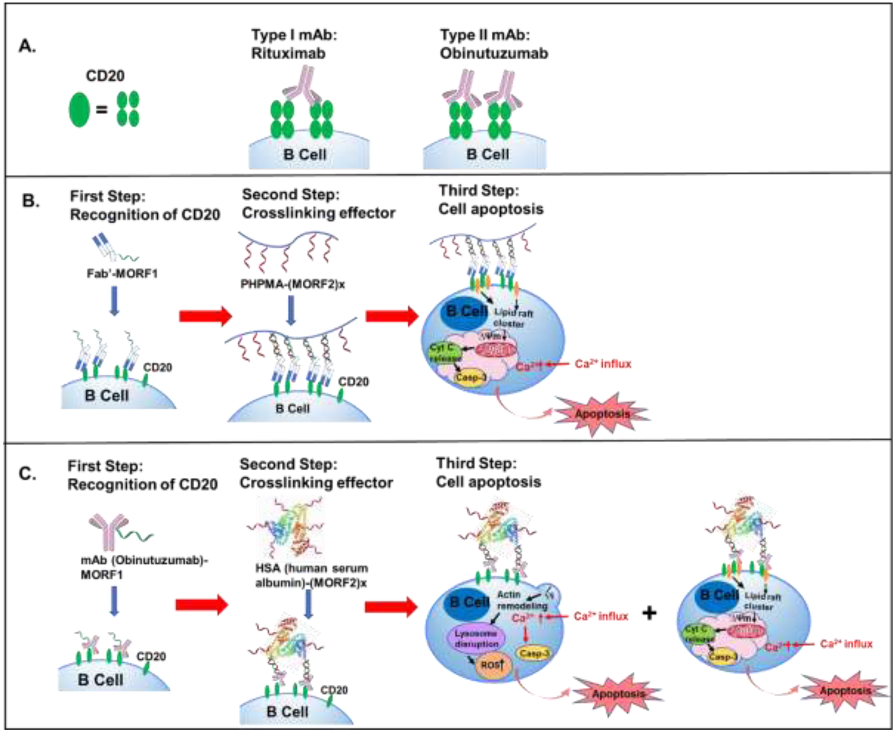 Figure 3.