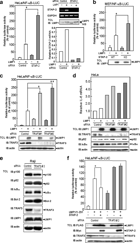 FIG. 6.