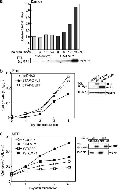 FIG. 10.