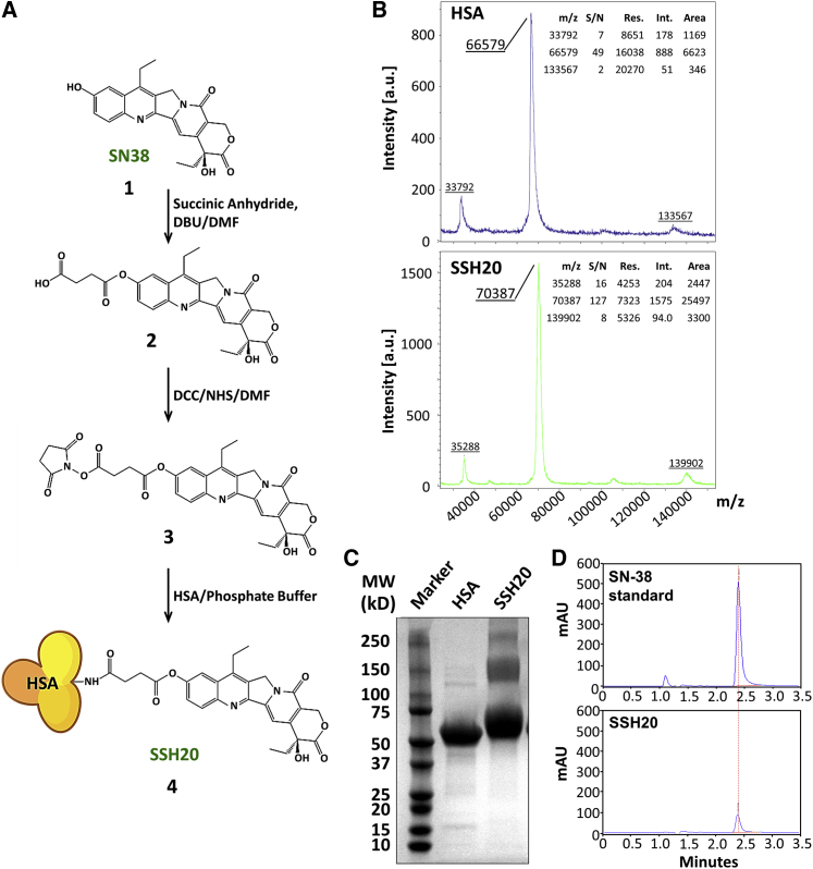 Figure 1