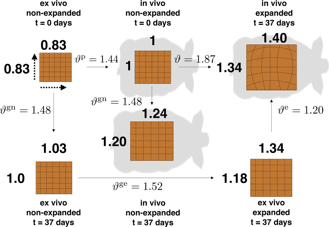 Fig. 7