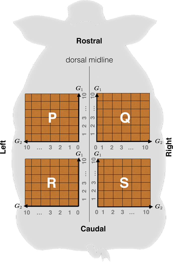 Fig. 2