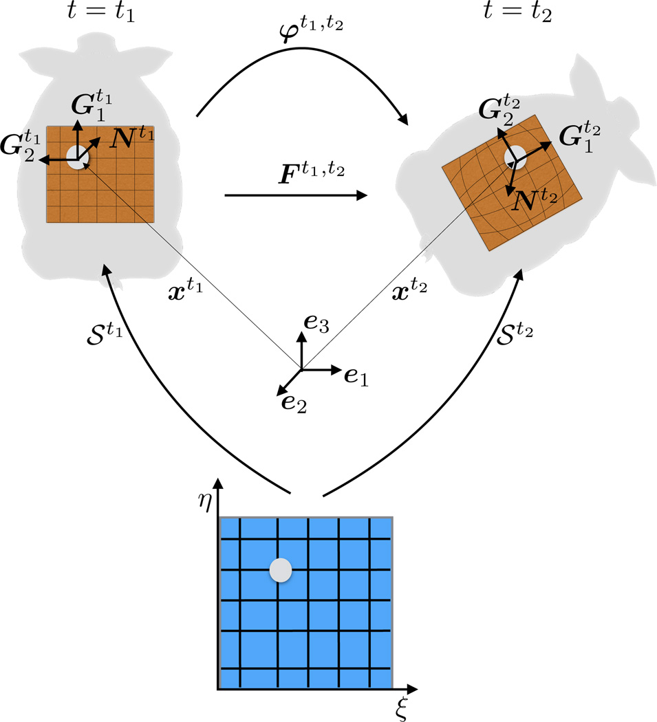 Fig. 5