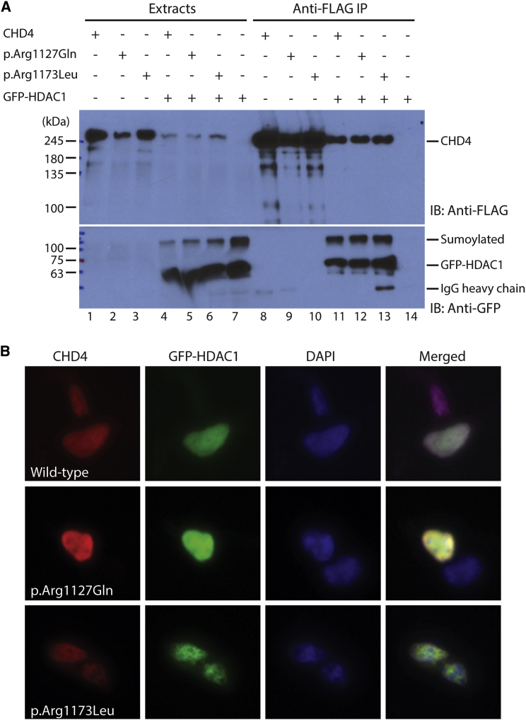 Figure 3