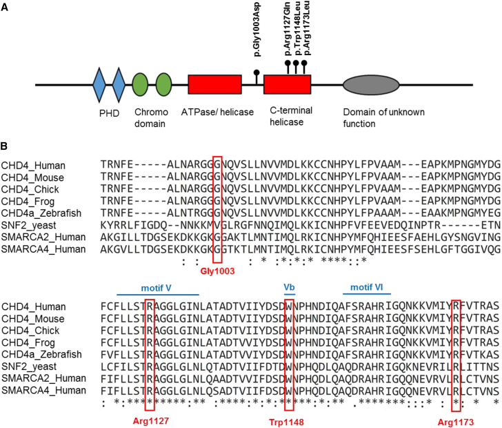 Figure 2