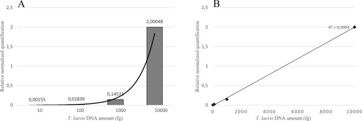 Figure 5