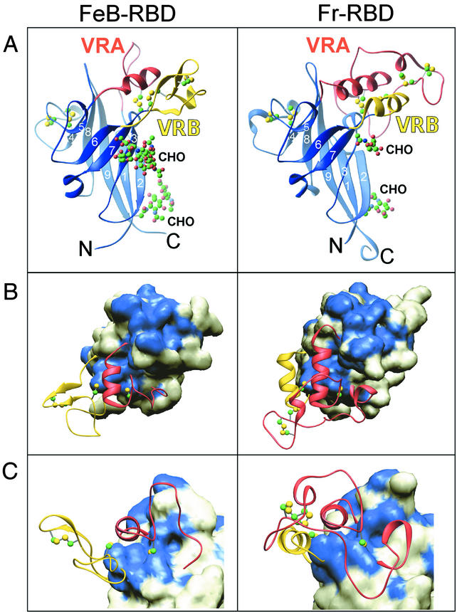 FIG.2.