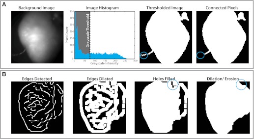 Fig. 2.