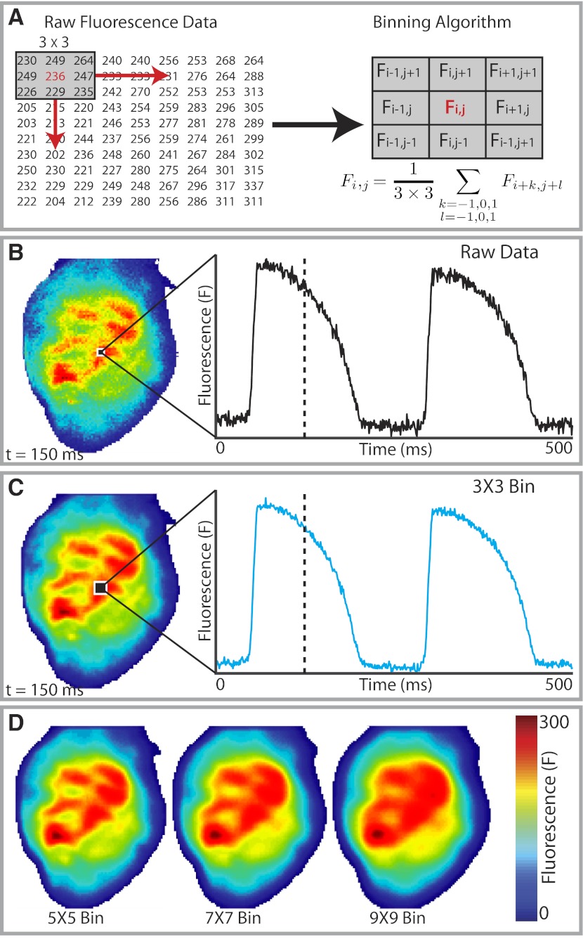 Fig. 3.