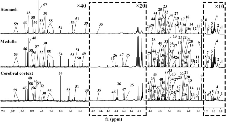Fig. 2