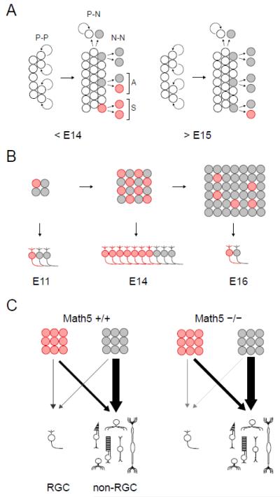 Fig. 9