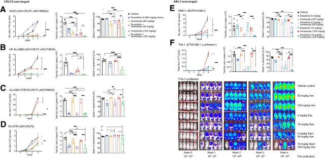 Figure 5. Combined TKI and venetoclax treatment inhibits Ph-like ALL proliferation in vivo. A–D, CRLF2-rearranged (n = 4) and (E) ABL1-rearranged (n = 1) Ph-like ALL PDX models were treated with vehicle or inhibitors (5 mice/cohort) as delineated above and followed by flow cytometric quantification of human CD10+/CD19+ ALL in murine peripheral blood (left) and in end-study spleens (middle and right). F, The luciferase-expressing ABL1-rearranged TVA-1 PDX model was followed by bioluminescent imaging [flux measured in photons per second (p/s) with scales as designated] with terminal splenic leukemia burden quantified by flow cytometry as in the other five models. TKI and venetoclax cotreatment significantly inhibited leukemia proliferation in vivo in most PDX models versus inhibitor monotherapy. Error bars represent ± SD. *P ≤ 0.05, **P ≤ 0.01, ***P ≤ 0.001, ****P ≤ 0.0001 using 2-way ANOVA for peripheral blood analyses over time and one-way ANOVA for end-study spleen analyses. ns, not significant.