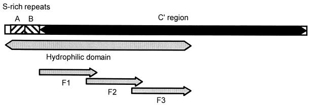 FIG. 1.