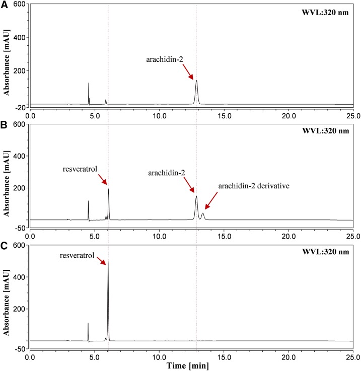 Figure 5.